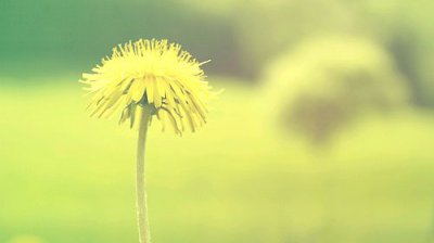 摘记，100篇名家经典散文摘抄-爱问教育