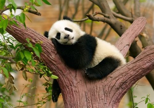 七界传说完整版免费阅读(心梦无痕)在线阅读,七界传说完整版免费阅读最新章节,夜寒书库 七界传说完整版免费阅读(心梦无痕)在线阅读,七界传说完整版免费阅读最新章节,夜寒书库